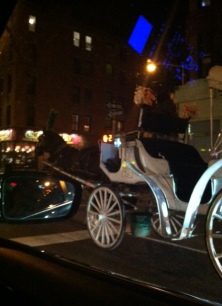 Horse and Buggy in traffic on ride home.